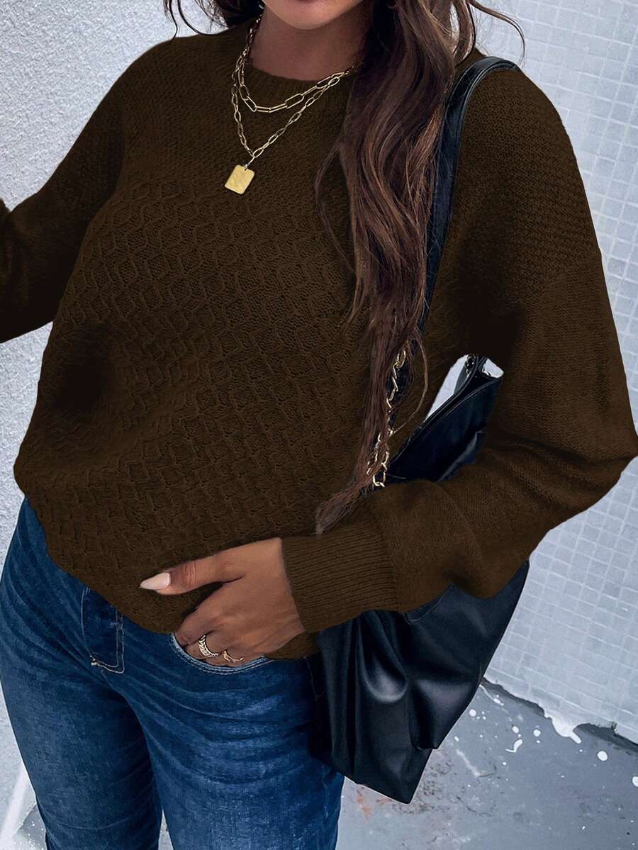 SHEIN LUNE Solid Drop Shoulder Sweater - Coffee Brown - View 1