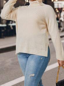 SHEIN LUNE Plus Turtleneck Raglan Sleeve Split Hem Sweater