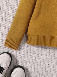 SHEIN Young Boy Solid Raglan Sleeve Hooded Sweater - Brown - View 5