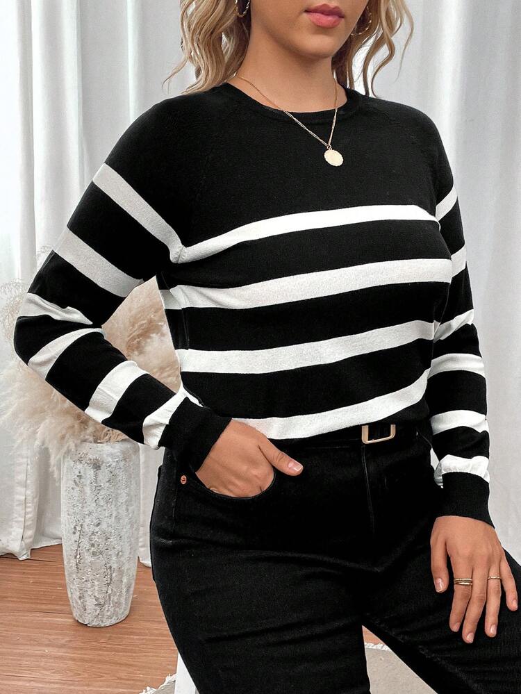 Plus Size Women's Contrast Color Simple Crew Neck Long Sleeve Pullover Sweater For Autumn & Winter Fall