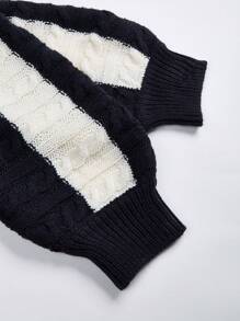 SHEIN ChicEase 双色绞花针织落肩套头衫秋冬毛衣 - 彩色 - 查看 4