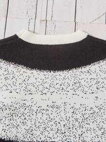 Boys' Color Block Pullover Sweater - Black - View 5