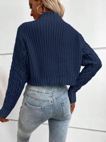 SHEIN LUNE Solid Color Cable Knitted Sweater,Long Sleeve Tops