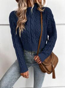 SHEIN LUNE Solid Color Cable Knitted Sweater,Long Sleeve Tops