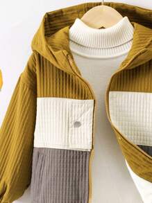 Toddler Boys' Color Block Zipper Hooded Jacket Coat