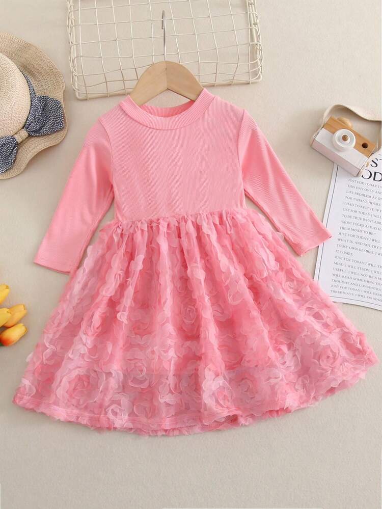 Baby Girls' Rose Flower Embroidered Dress