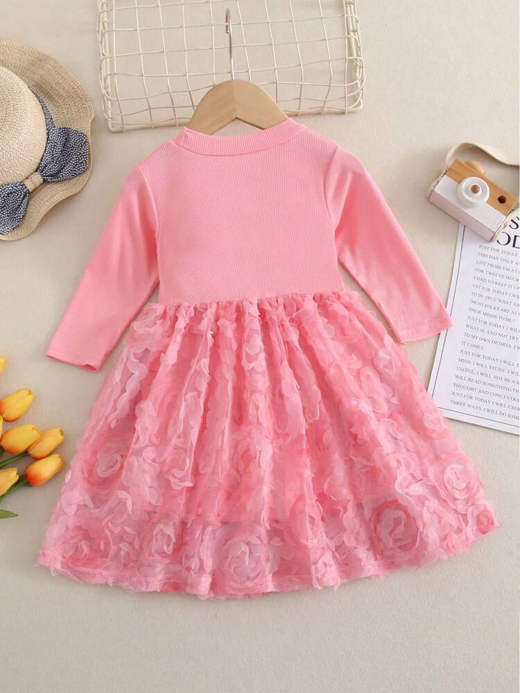 Baby Girls' Rose Flower Embroidered Dress