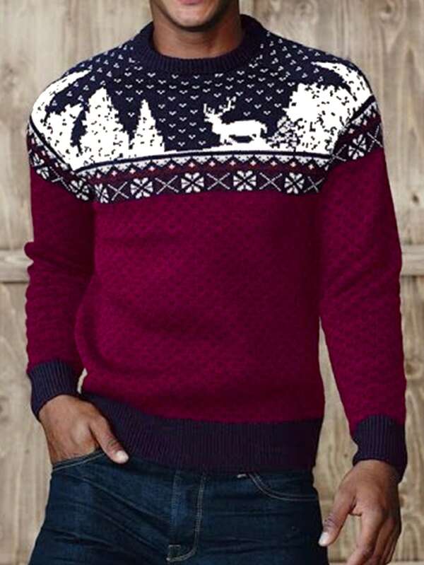 Manfinity Homme Heren Kerstpatroon Truien