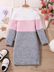 SHEIN Cô Gái Trẻ Đơn Giản & Thoải Mái Đan Miếng Dán Cường Lực Cao Cổ Tay Dài Với Thiết Kế Gân Dày Cho Mùa Thu/Đông - Nhiều màu - Xem 2
