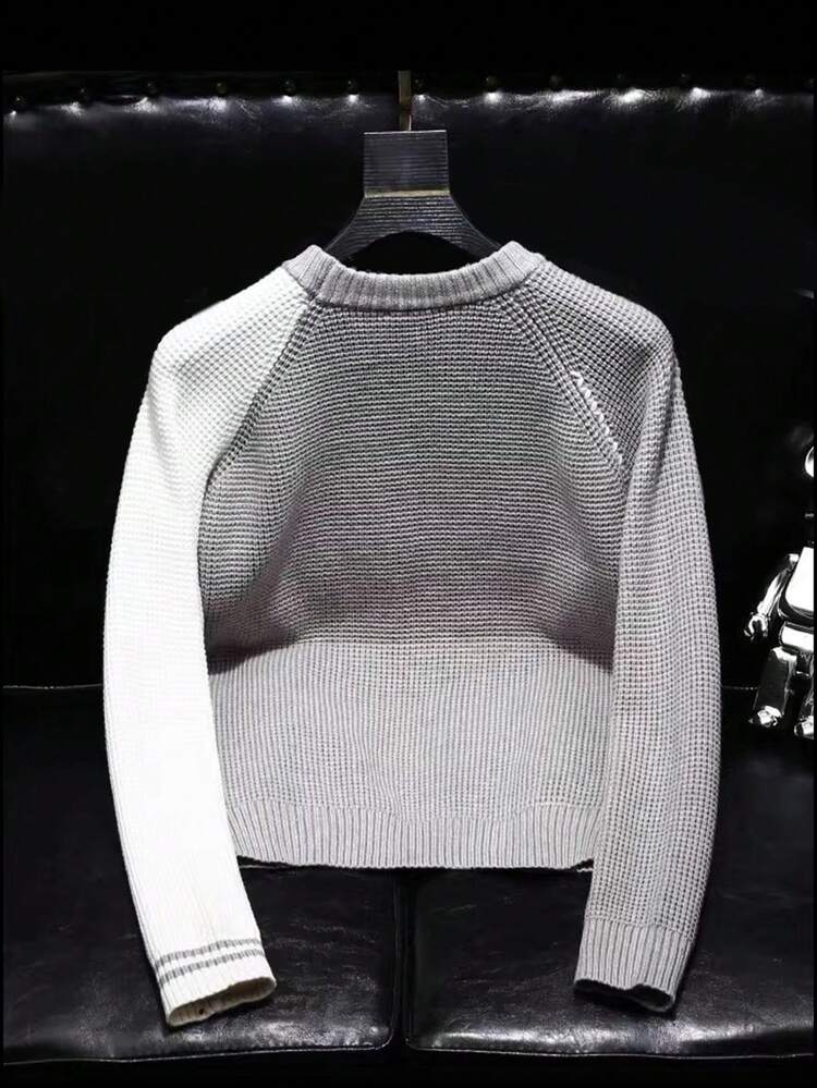 Men Contrast Raglan Sleeve Sweater