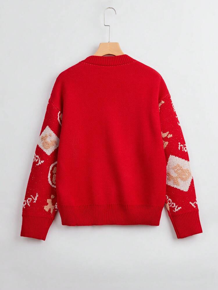 Graphic Pattern Knit Pullover Fall Winter Sweater