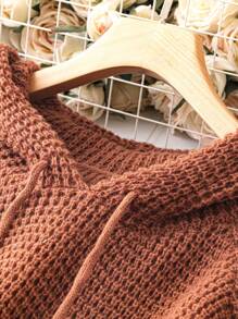 SHEIN LUNE Plus Raglan Sleeve Drawstring Hooded Sweater - Coffee Brown - View 5