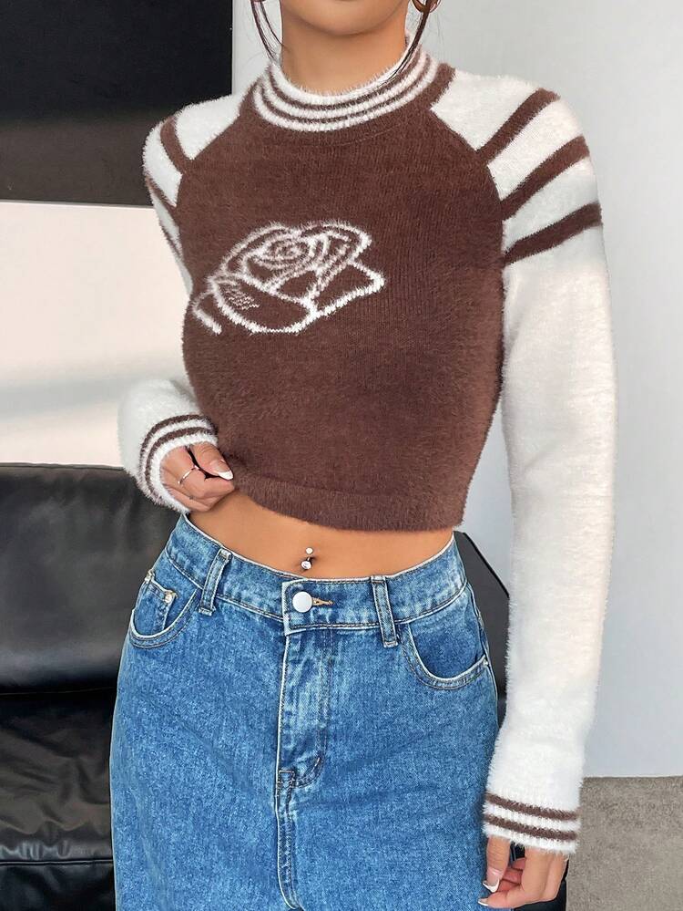Striped & Floral Pattern Raglan Sleeve Crop Knit Pullover Fall Winter Sweater