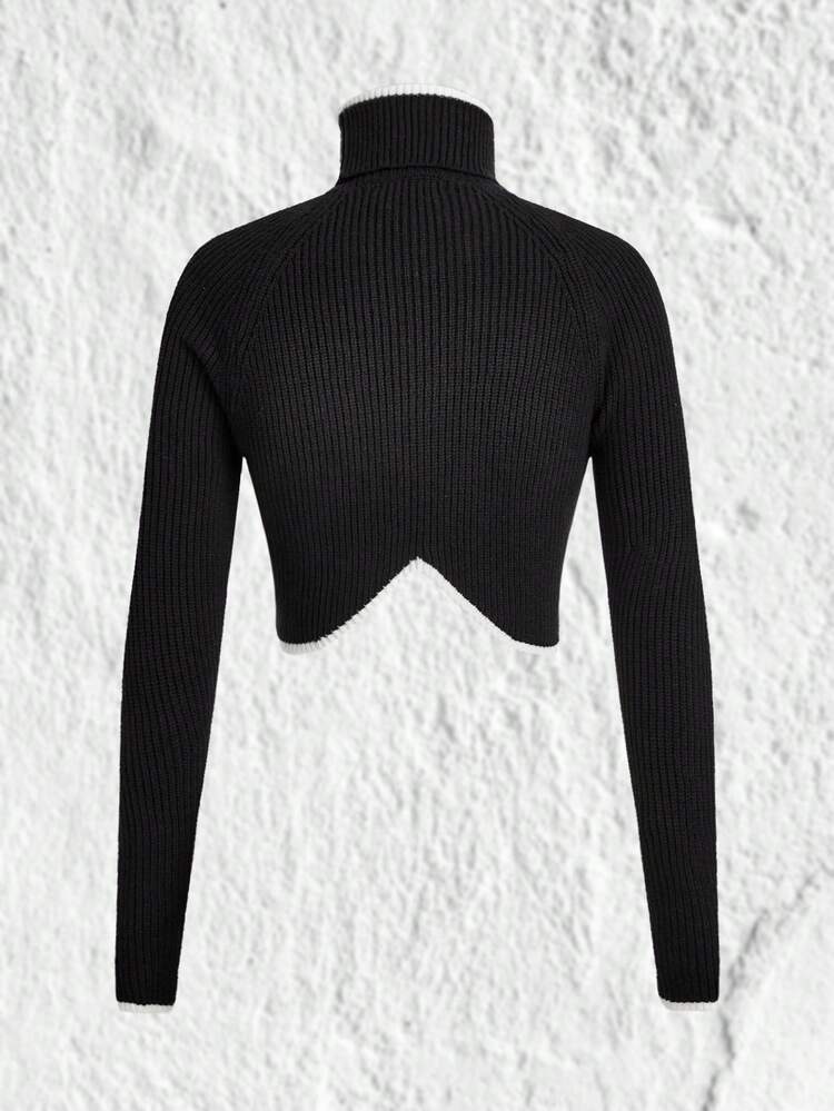 Contrast Trim High Neck Raglan Sleeve Asymmetrical Hem Crop Sweater
