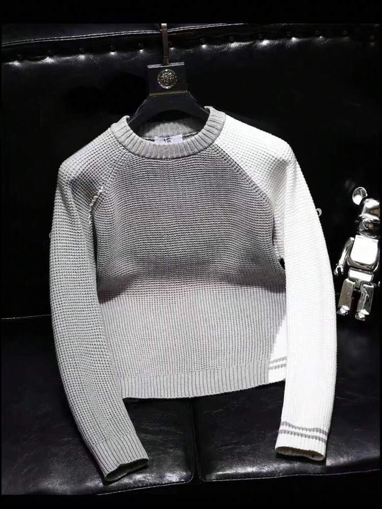 Men Contrast Raglan Sleeve Sweater