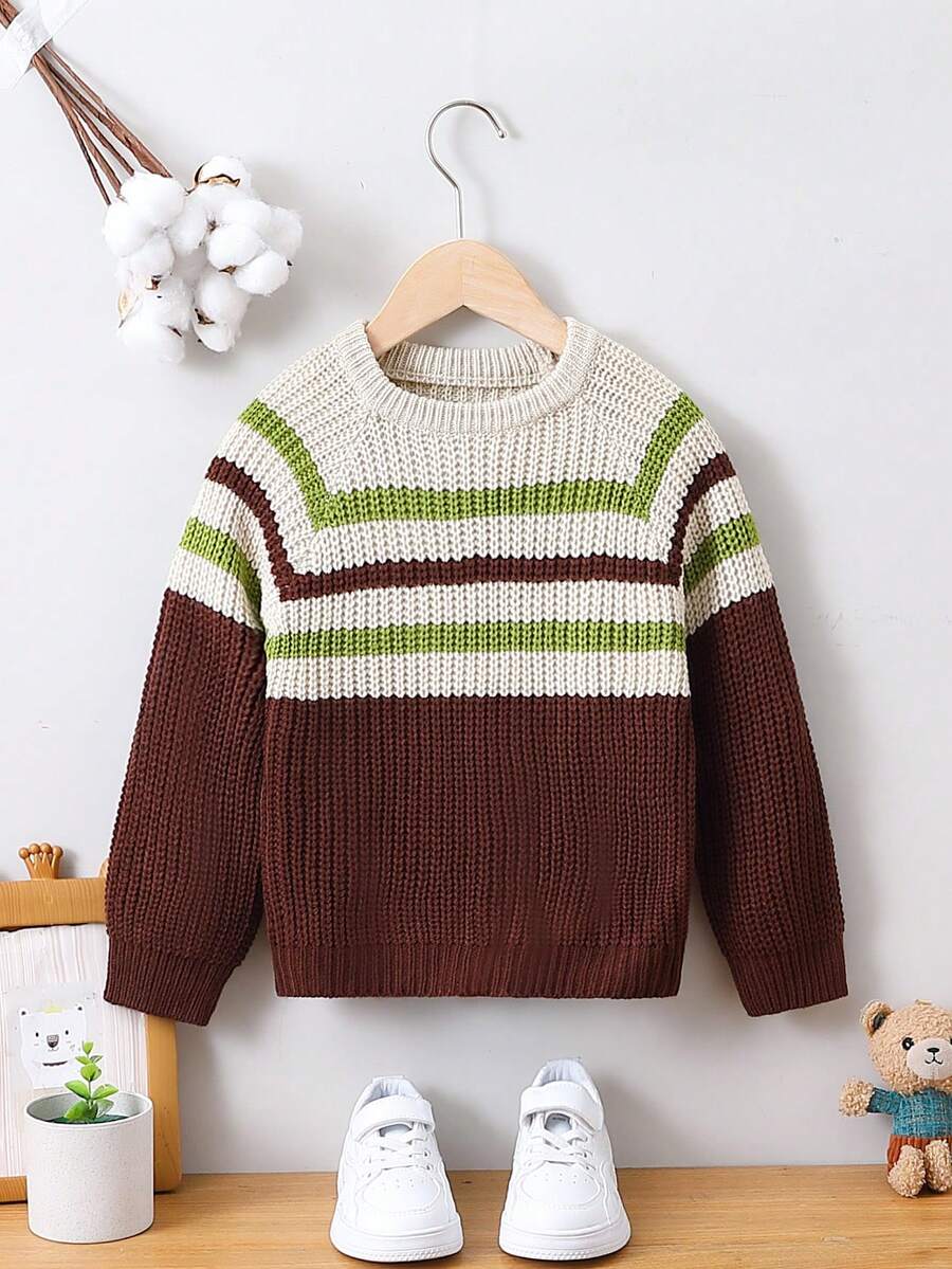 Chàng trai trẻ Mẫu sọc Tay Raglan Áo len - Nhiều màu - Xem 1