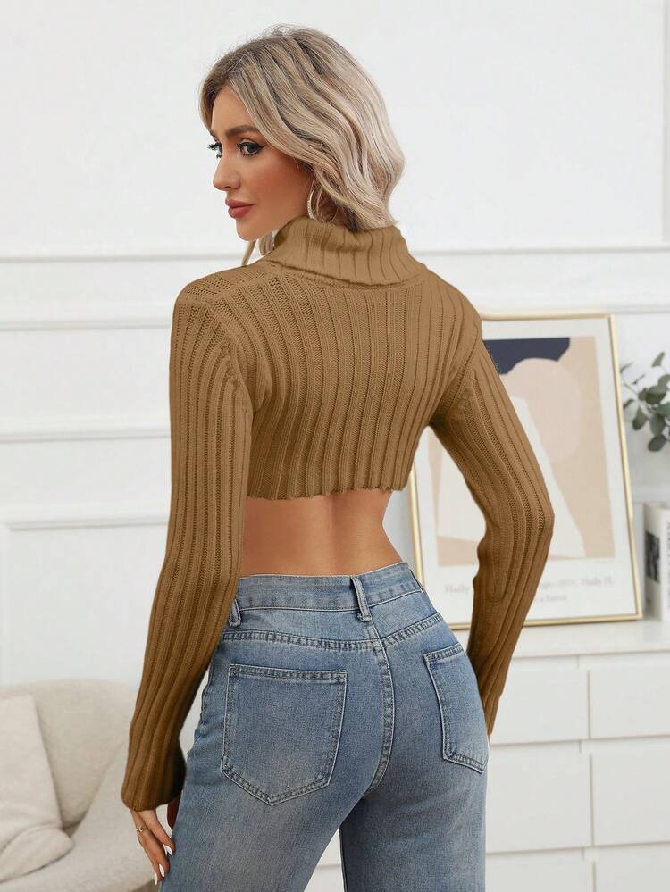 Women  Asymmetrical Hem Cropped Sweater