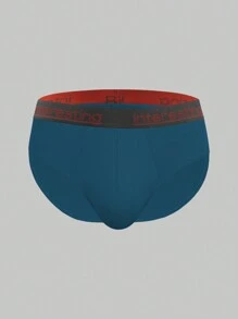 Men's 4pcs/set Letter Print Triangle Briefs