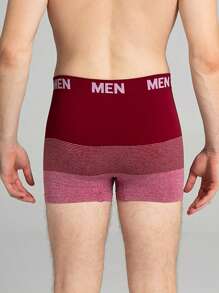 Men's 4pcs/set Letter Printed Boxer Briefs - Multicolor - View 2