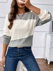 SHEIN LUNE Color Block Drop Shoulder Sleeve Fashionable Sweater - Grey - View 4