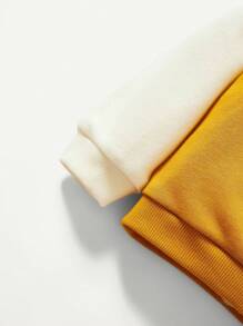 Baby Boy Letter Graphic Sweatshirt and Colorblock Pullover