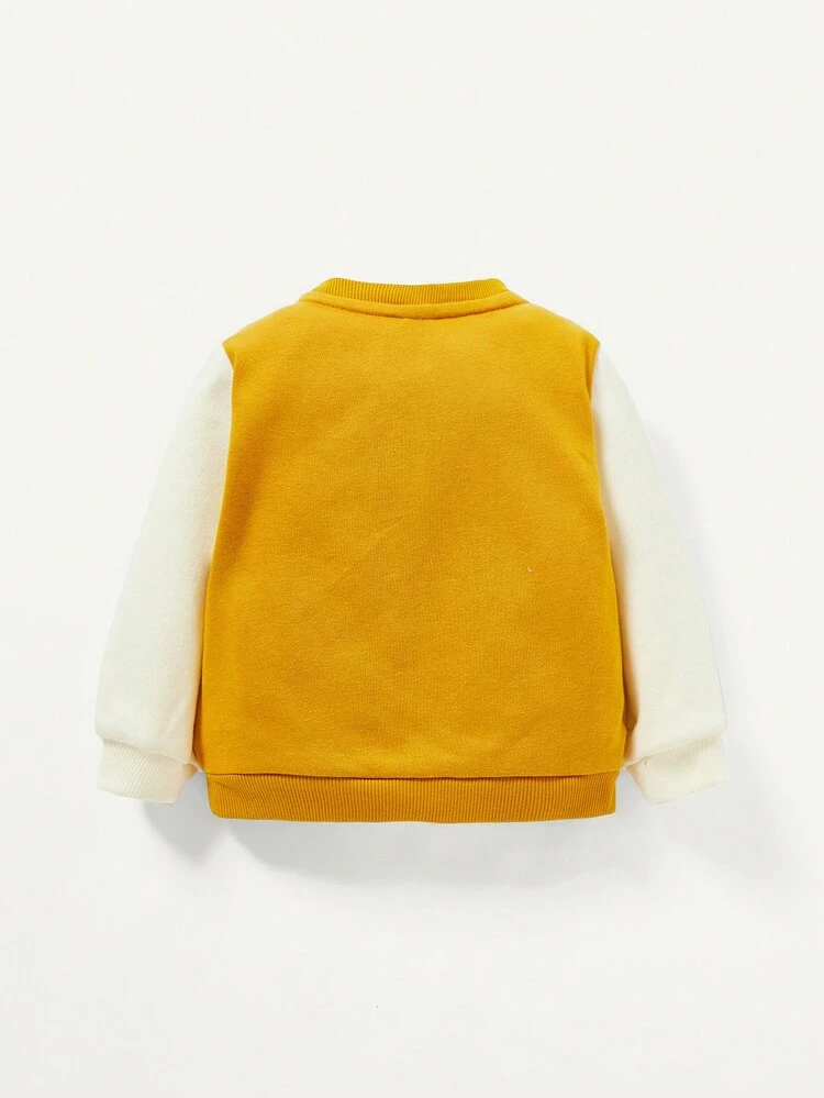 Baby Boy Letter Graphic Sweatshirt and Colorblock Pullover