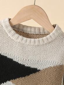 Boys' Color Block Round Neck Comfortable And Stylish Sweater - Multicolor - View 4
