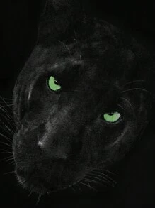 Manfinity Men Plus Animal Print Tee - Black - View 3