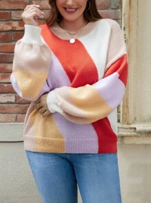 SHEIN LUNE Plus Size Slim Fit Round Neck Drop Shoulder Sweater - Multicolor - View 3