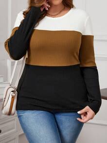 SHEIN LUNE Plus Color Block Ribbed Knit Tee - Multicolor - View 3