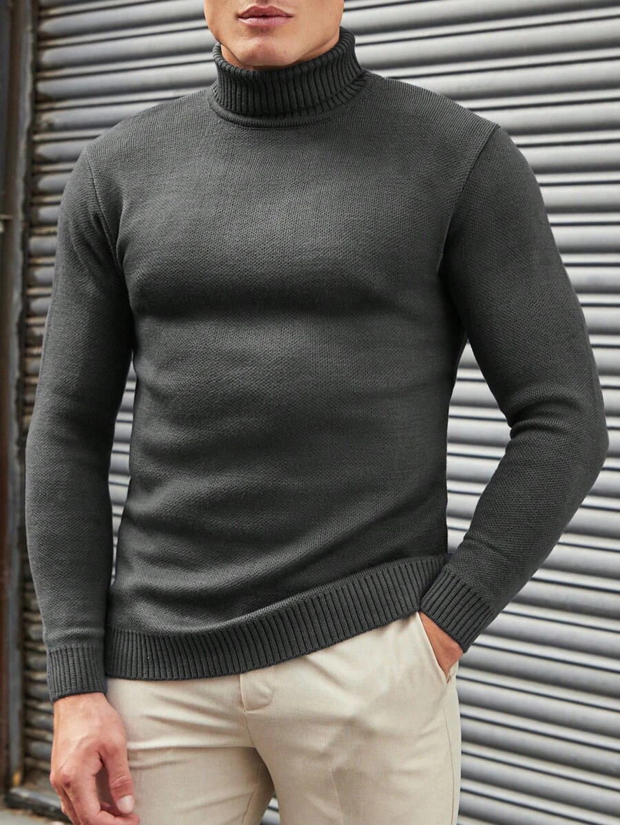 SHEIN Męski Prosty Jednolity kolor Wysoka Szyja Swetry , Wszechstronny