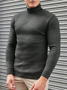 SHEIN Męski Prosty Jednolity kolor Wysoka Szyja Swetry , Wszechstronny
