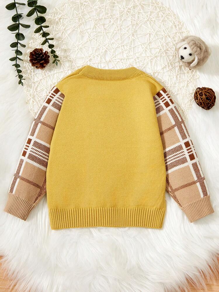 Baby Boys' Cartoon Bear & Letter Pattern Sweater