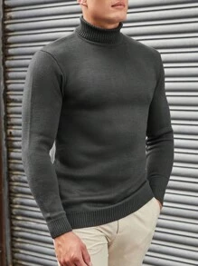 SHEIN Męski Prosty Jednolity kolor Wysoka Szyja Swetry , Wszechstronny