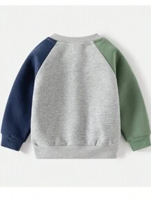 Young Boy Dinosaur Pattern Long Sleeve Sweatshirt And Pants Set - Grey - View 3