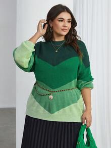 SHEIN Essnce Kích thước lớn Của phụ nữ Màu sắc Chặn Thả vai Áo len - màu xanh lá - Xem 5