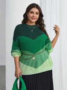 SHEIN Essnce Kích thước lớn Của phụ nữ Màu sắc Chặn Thả vai Áo len - màu xanh lá - Xem 1