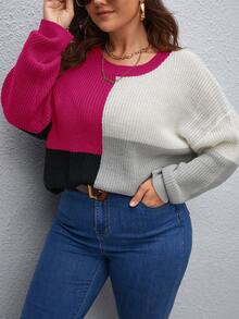SHEIN LUNE Plus Size Colorblock Drop Shoulder Knit Sweater - Hot Pink - View 4