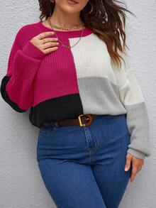 SHEIN LUNE Plus Size Colorblock Drop Shoulder Knit Sweater - Hot Pink - View 6