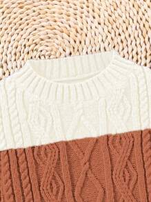 SHEIN 幼兒男童拼色套頭毛衣 - 巧克力棕 - 查看 5