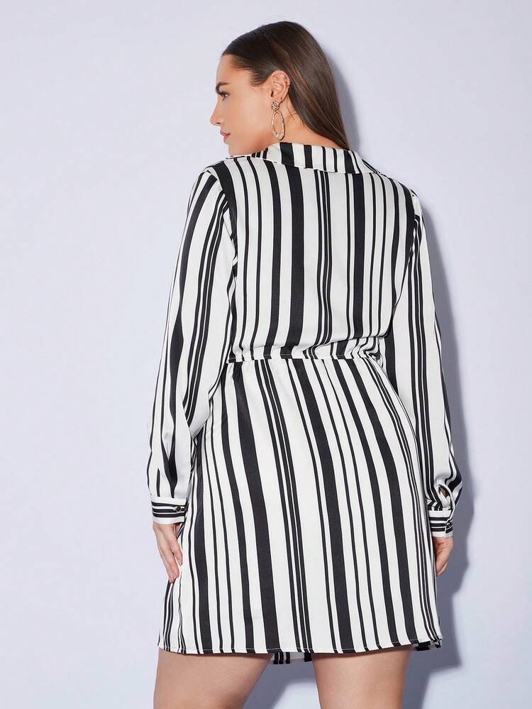 Women's Plus Size V-collar Striped Dress