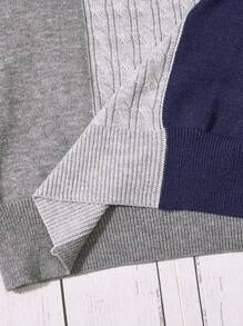 SHEIN Con trai Tương phản Màu sắc Tay áo dài Vòng cổ Áo chui đầu Áo len - Xám - Xem 3