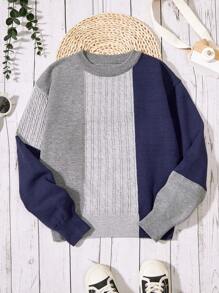 SHEIN Con trai Tương phản Màu sắc Tay áo dài Vòng cổ Áo chui đầu Áo len - Xám - Xem 1