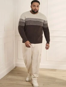 GENTILAND Men's Striped Plus Size Round Neck Sweater, Long Sleeve - Brown - View 3