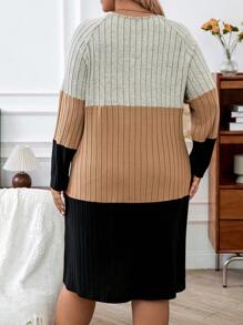 SHEIN LUNE Plus Size Women's Color Block Knitted Sweater Dress - Multicolor - View 2