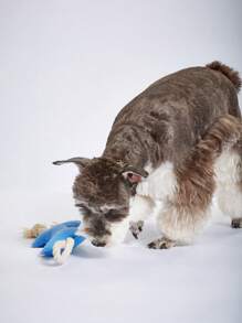 Petsin Blue Felt Bone Shaped Toy With Sound For Pets - Blue - View 5