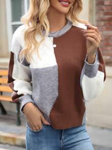 SHEIN LUNE Round Neck Color-Blocking Drop Shoulder Sweater Knit Pullover Fall Winter Outfit