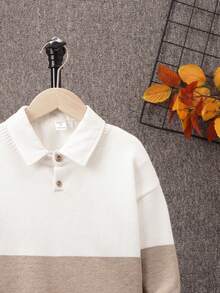 SHEIN Tween Boys寬鬆學院風圓領長袖套頭毛衣 - 彩色 - 查看 3