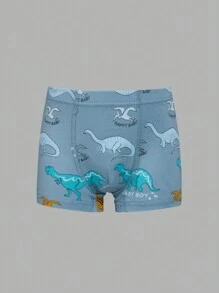 6pcs/Set Young Boy Dinosaur Print Boxer Briefs, Same Color Series