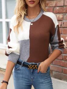 SHEIN LUNE Round Neck Color-Blocking Drop Shoulder Sweater Knit Pullover Fall Winter Outfit